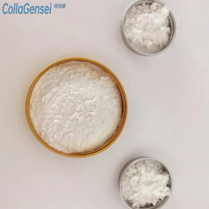 Whey Protein Co-Isolate Whey Protein Co-Isolate